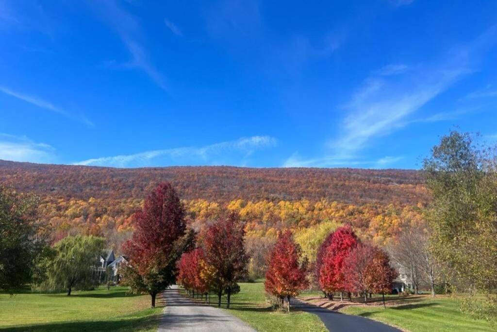 Malkita'S Mountain View Villa Woodbury  Dış mekan fotoğraf
